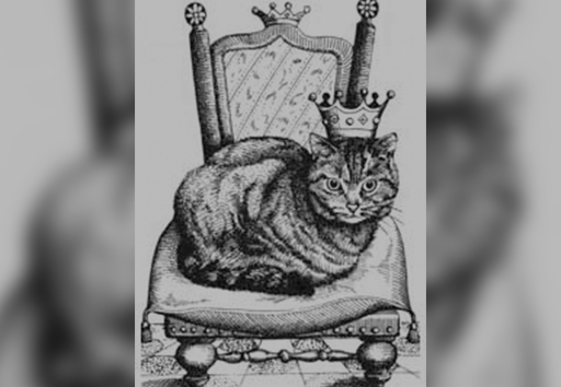 11 El rey de los gatos